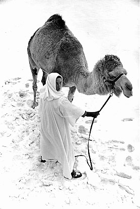 Daily Express &copy; Peter Rand 2007